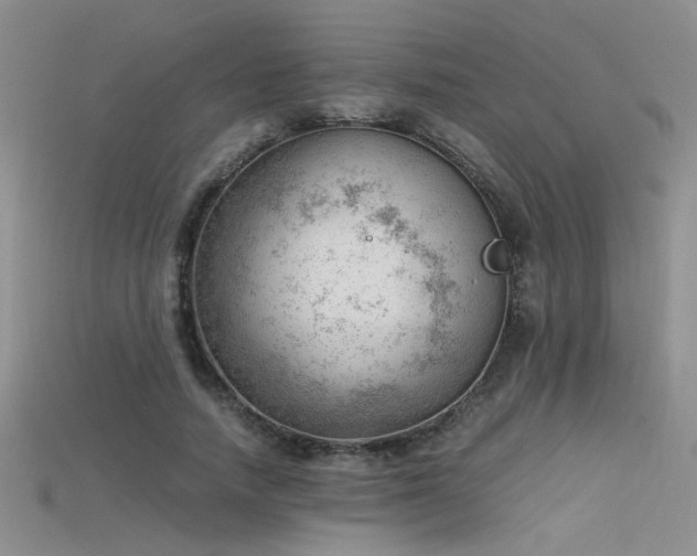 X0000115680738200911121245