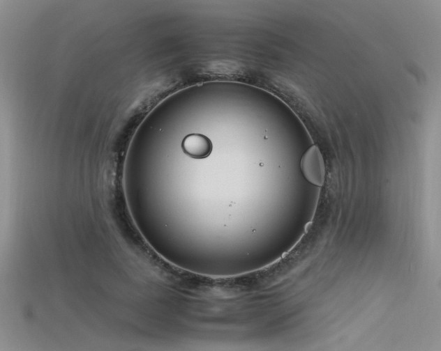 X0000115680739200911121245