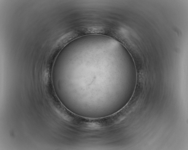 X0000115680741200911121245