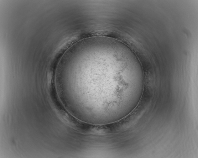 X0000115680742200911121245