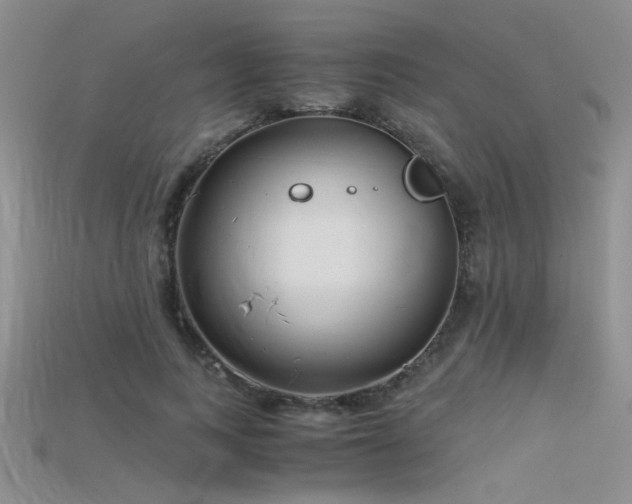 X0000115680743200911121245