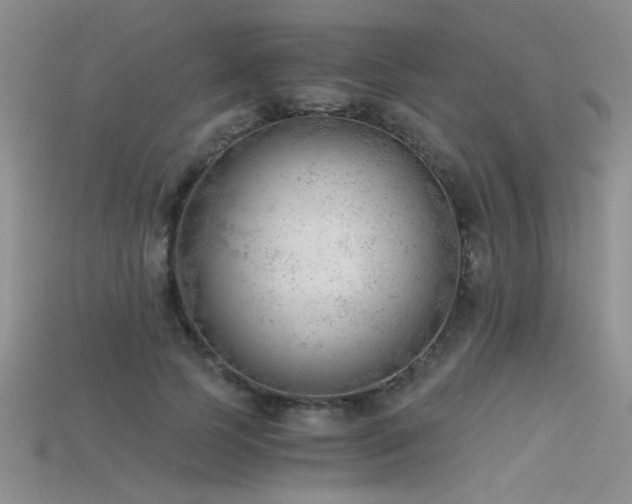 X0000115680745200911121246