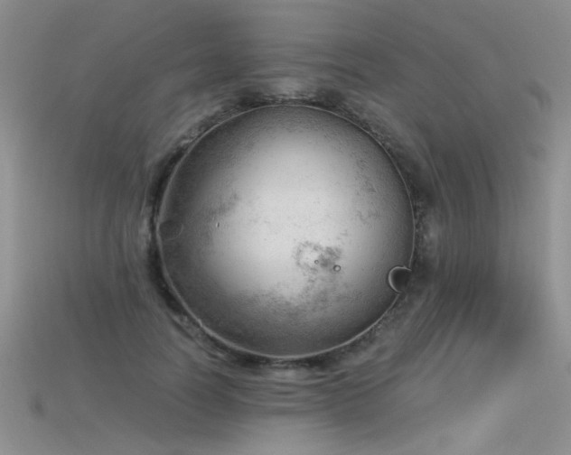 X0000115680746200911121246