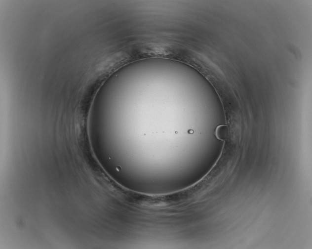 X0000115680747200911121246