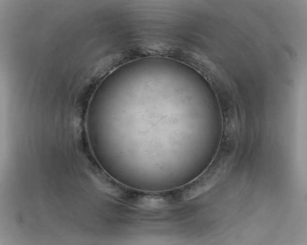 X0000115680749200911121246