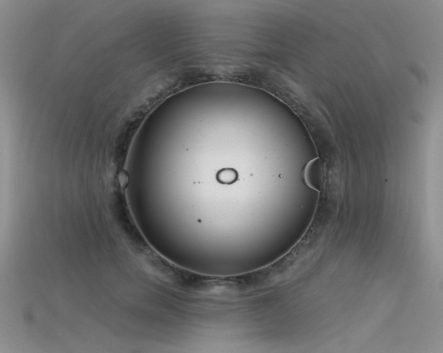 X0000115680750200911121246