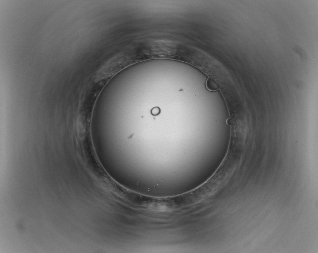 X0000115680751200911121246