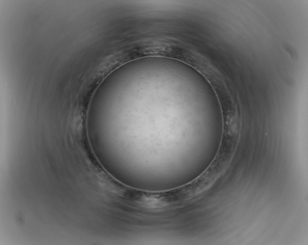 X0000115680753200911121246