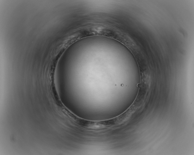 X0000115680754200911121246