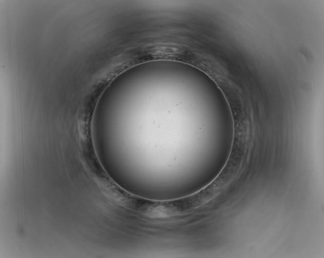 X0000115680755200911121246