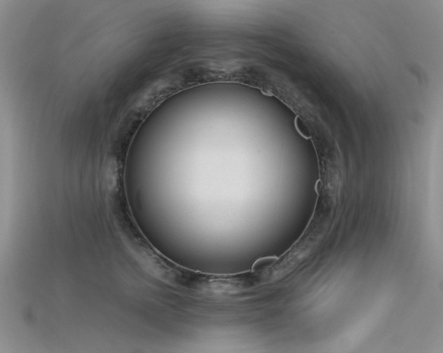 X0000115680758200911121246