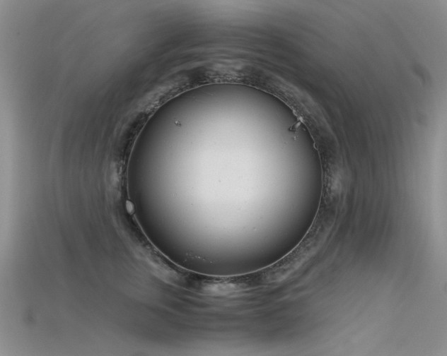 X0000115680759200911121246