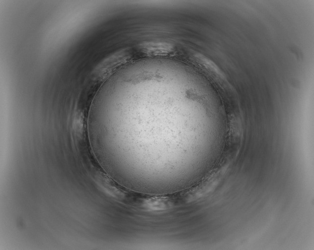 X0000115680761200911121246