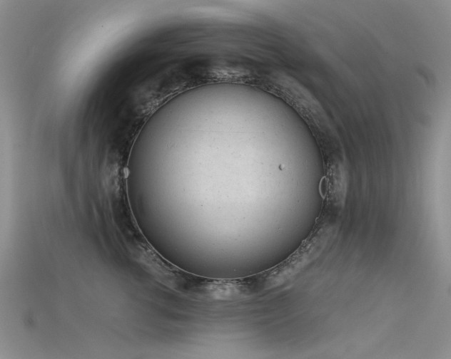 X0000115680762200911121246