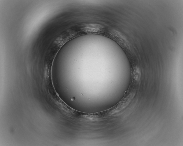 X0000115680763200911121246