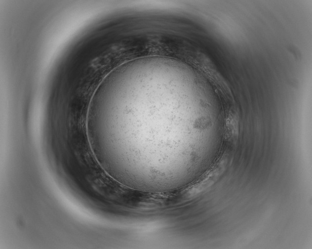 X0000115680765200911121246