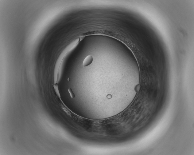 X0000115680766200911121246