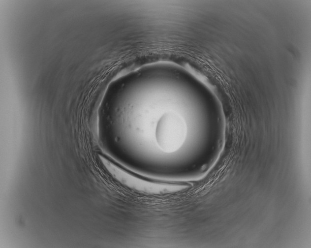 X0000115680769200911121245