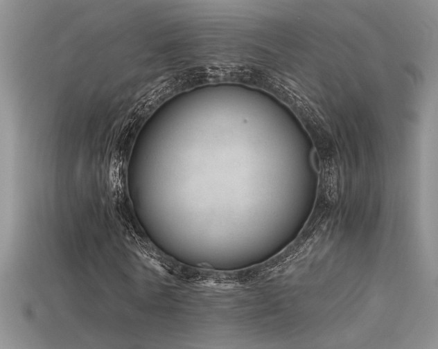 X0000115680770200911121245