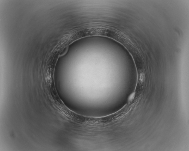 X0000115680771200911121245