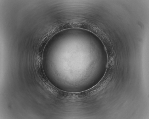 X0000115680772200911121245