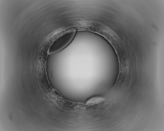 X0000115680773200911121245