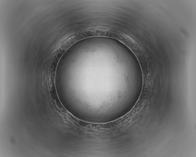 X0000115680774200911121245