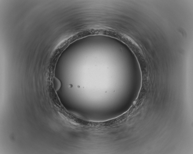 X0000115680775200911121245