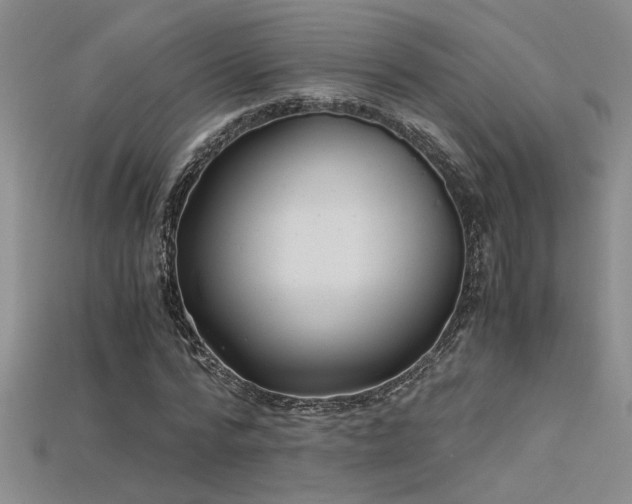 X0000115680776200911121245