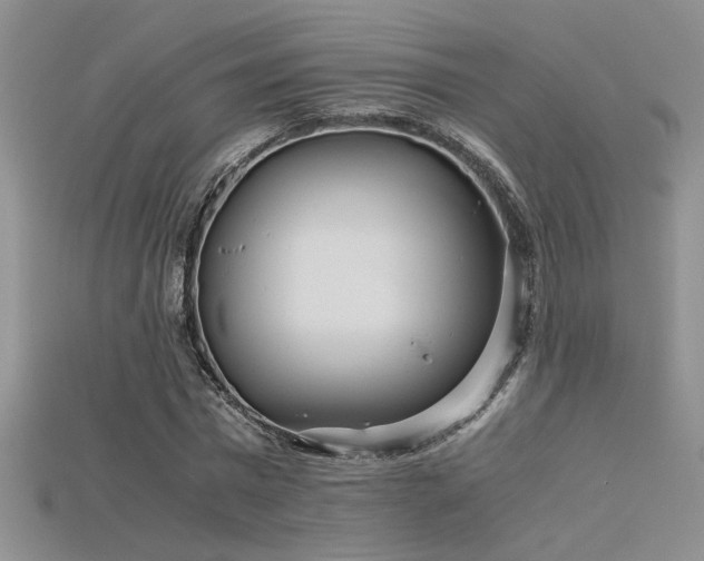 X0000115680777200911121245