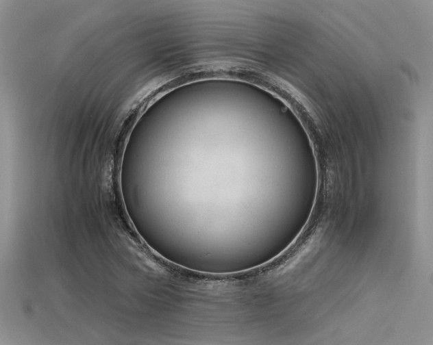 X0000115680778200911121245