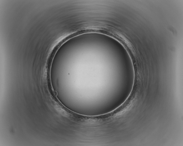 X0000115680779200911121245