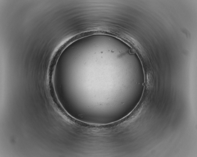 X0000115680780200911121245