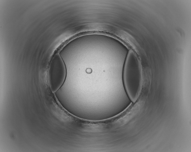 X0000115680781200911121245