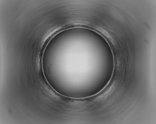 X0000115680782200911121245