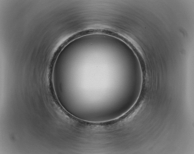 X0000115680783200911121245