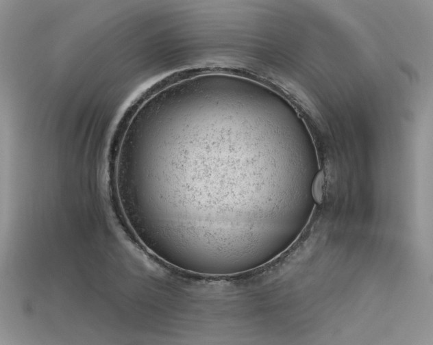 X0000115680784200911121245