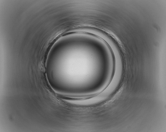 X0000115680785200911121245