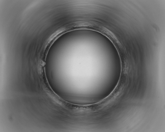 X0000115680786200911121245