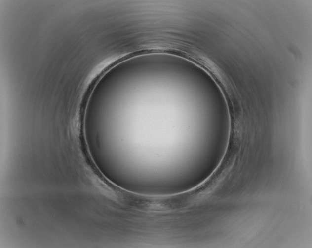 X0000115680787200911121245