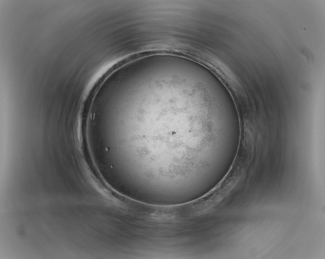 X0000115680788200911121245