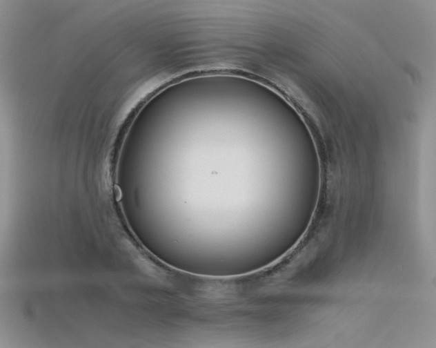 X0000115680789200911121245