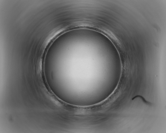 X0000115680790200911121245