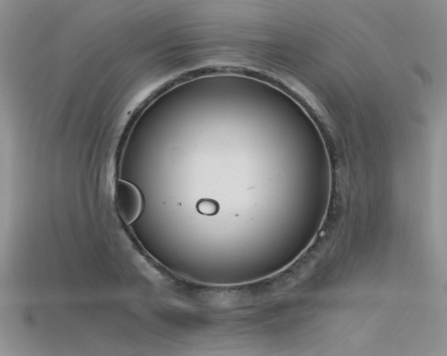 X0000115680791200911121245