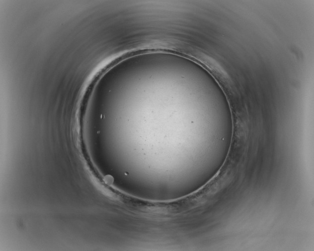 X0000115680792200911121245