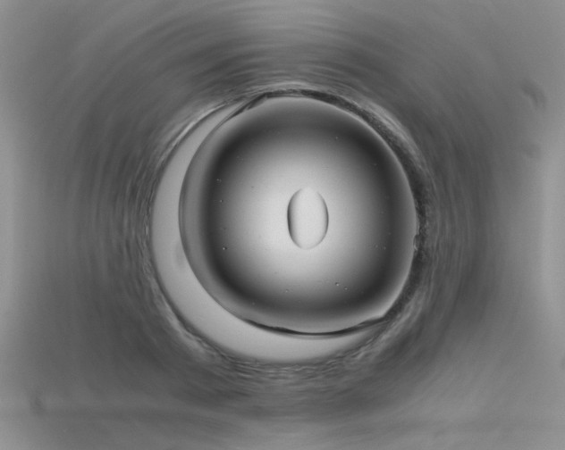 X0000115680793200911121245