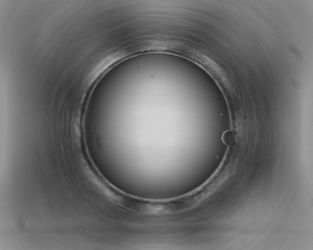 X0000115680794200911121245