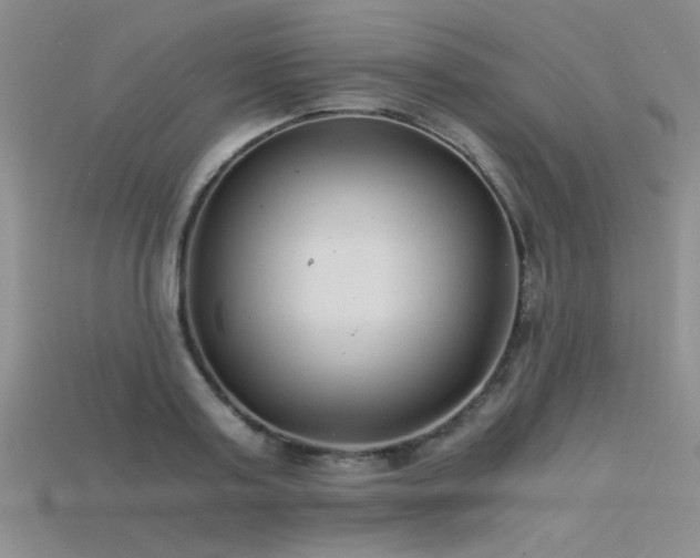 X0000115680795200911121245