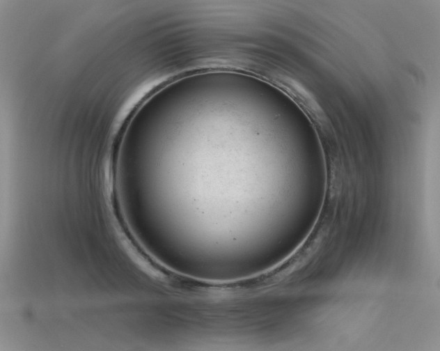 X0000115680796200911121245