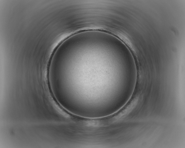 X0000115680797200911121245